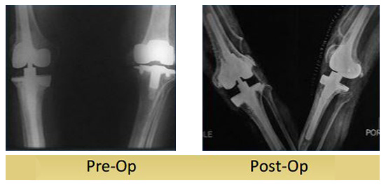 case-study4