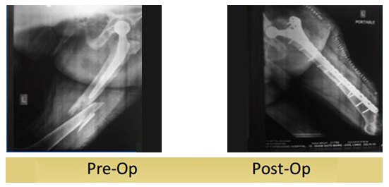 case-study4